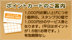 �|�C���g�J�[�h�̂��ē�